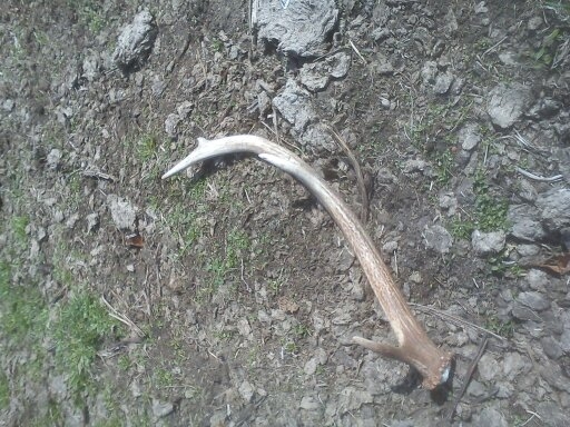 po dlhom hladani potesil aj takyto