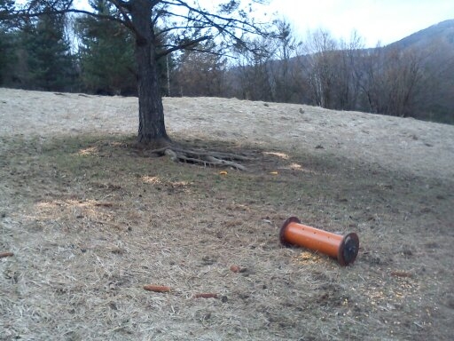 krmtko pre diviaciky