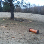 krmtko pre diviaciky