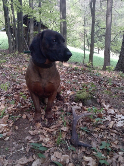Na velkonocny pondelok sa zadarilo