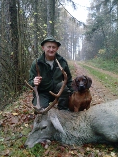 Po uspešnej dohladavke