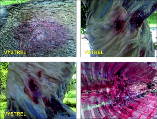 SAKO HAMMERHEAD 8X57JS 13g