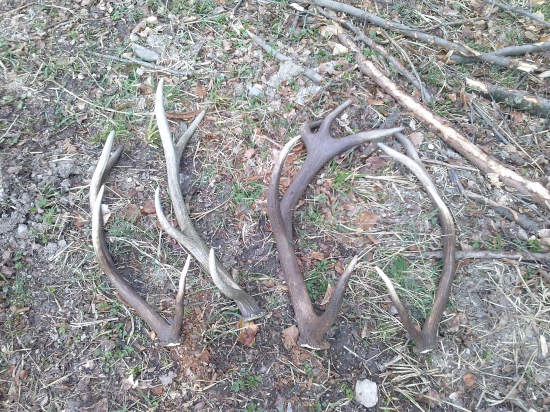 vlanajšia vychadzka s kamaratmi