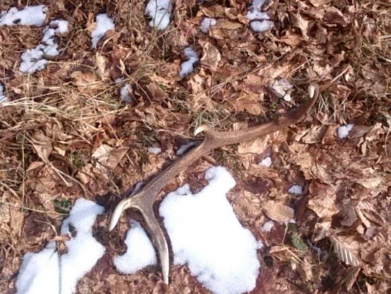 Včerajší osmorák