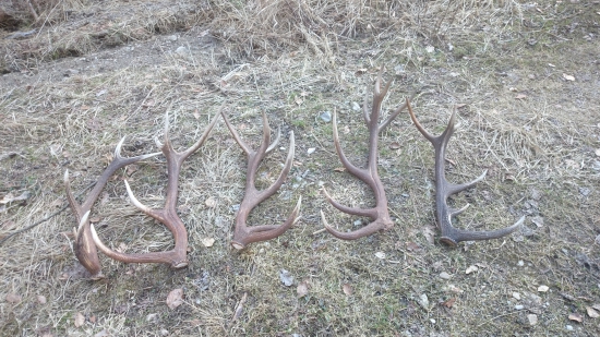 Celkom dobrá vychádzka