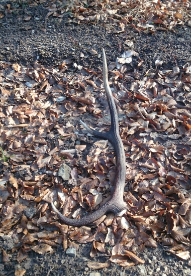 Pár K zhodu id.290971