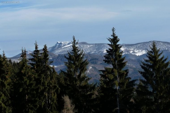 kľak