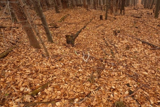 ten si tam uz polezal