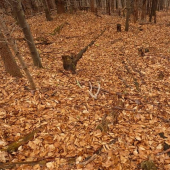 ten si tam uz polezal