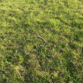 včerajší osmoračik