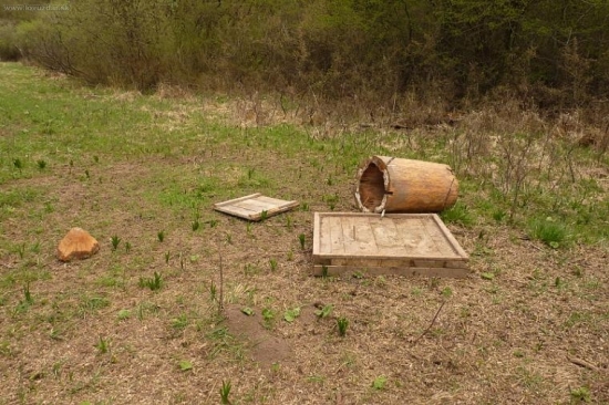 medved sa mi s tym pohral