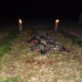 z minulorocnej spolocnej