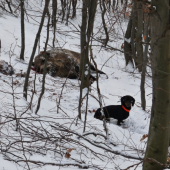 prichazadam  k ulovenemu diviakovi