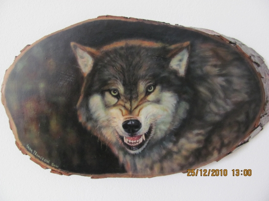 od pivonka 66 pre mňa