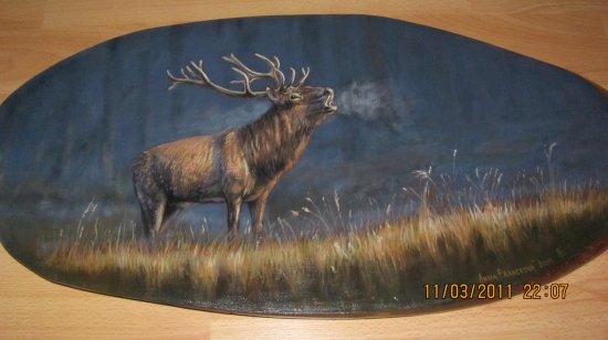 pre kamaráta k 50 tke