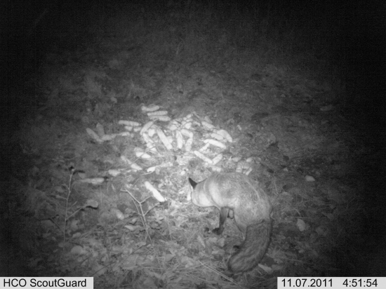 aj suché pečivo jej stačí