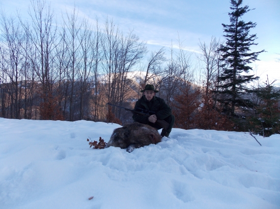 Malcovské prasiatko