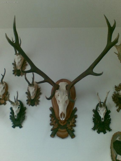 moje najlepšie trofeje 1