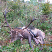 Úspešná ruja 2010 2.