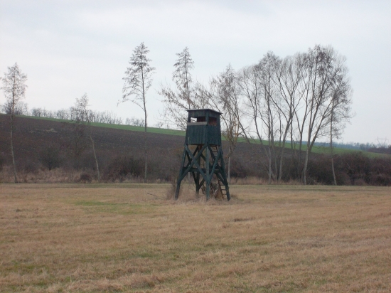 Ďalší zo šiestich