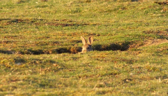 uz tu asi nikto nie je