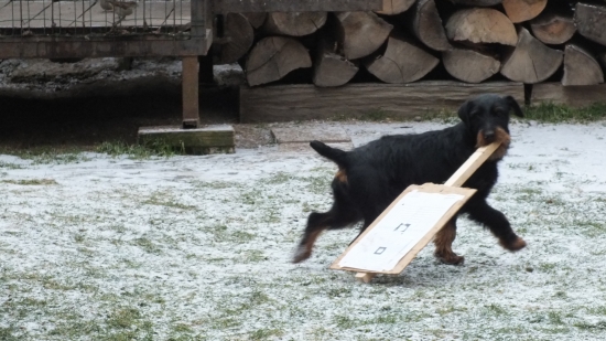 Musim si ist nastrelit puskohlad