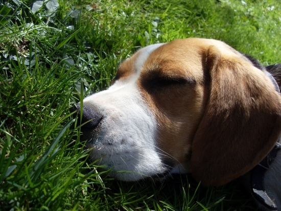 taká oddychová ...