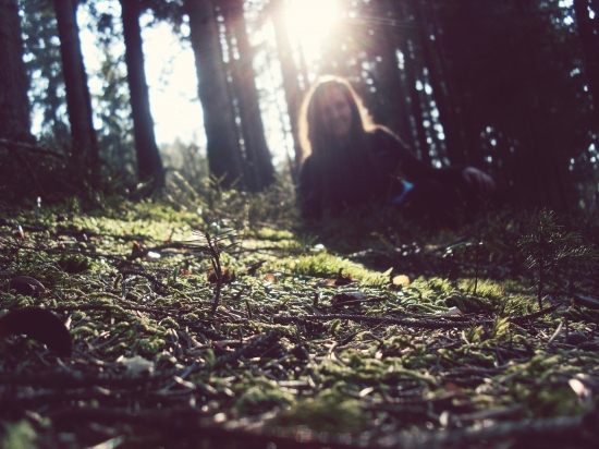Dnes niekto sedí v tieni, pretože ktosi dávno zasadil strom.