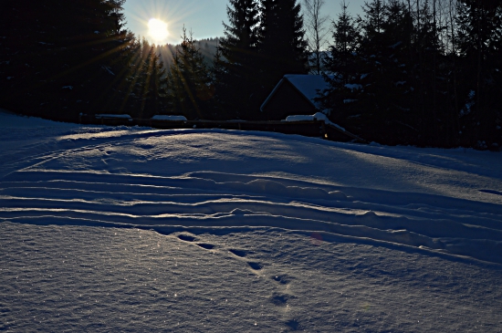 Dnešná romantická prechádzka