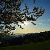 Horné Kysuce