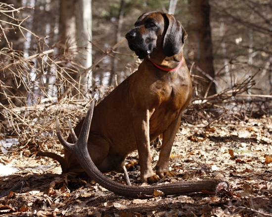 Menší,ale potěšil...