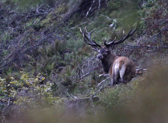 ...k ID80718 (dokumentačka)