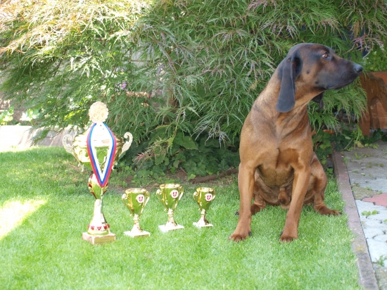 Bojar Matejova dolina