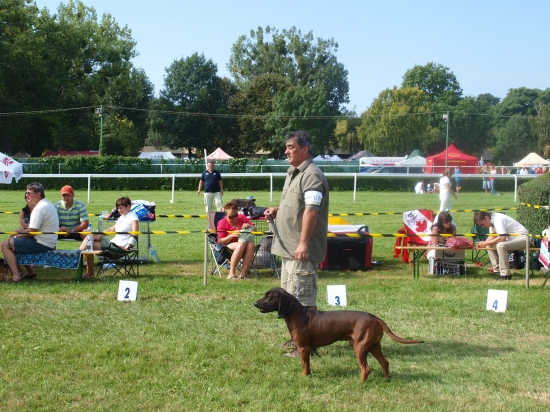 Bojar Matejova dolina