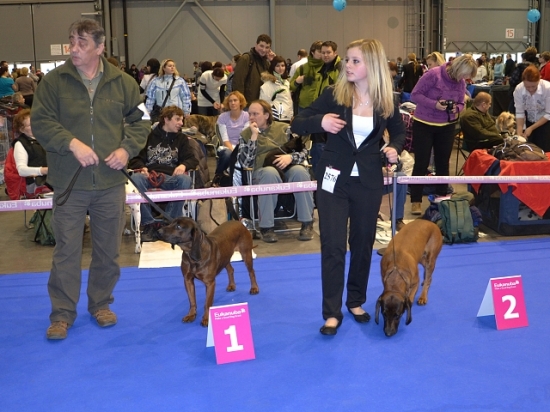 Bojar Matejova dolina