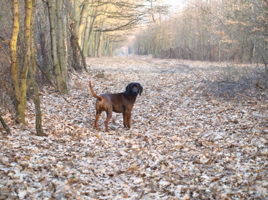 ranná vychádzka v  krásnom počasí