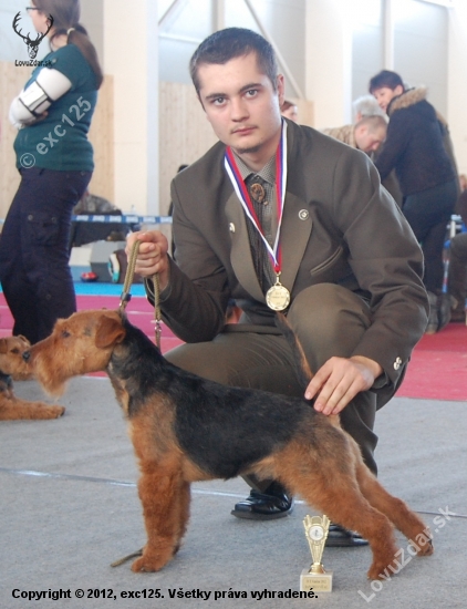 v1 danubie vítaz cc