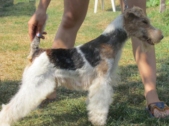 Tornádo slovakia DALI RIP :-(