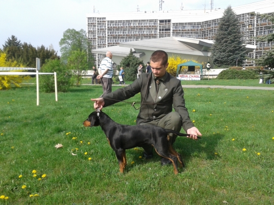 elis široká dolina