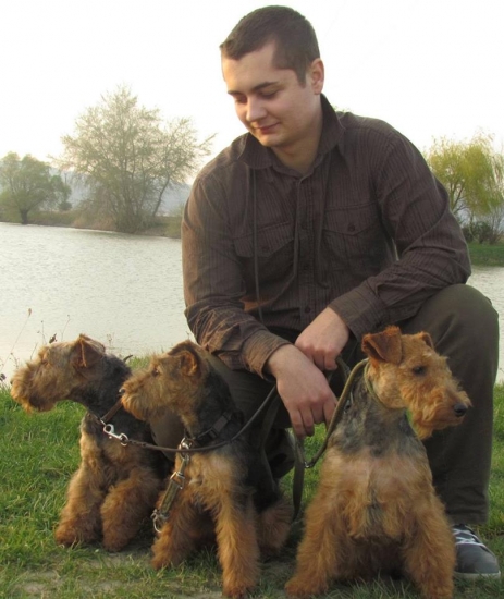 welsh terriers
