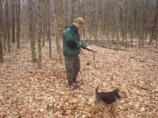 ja a max po odlozeni