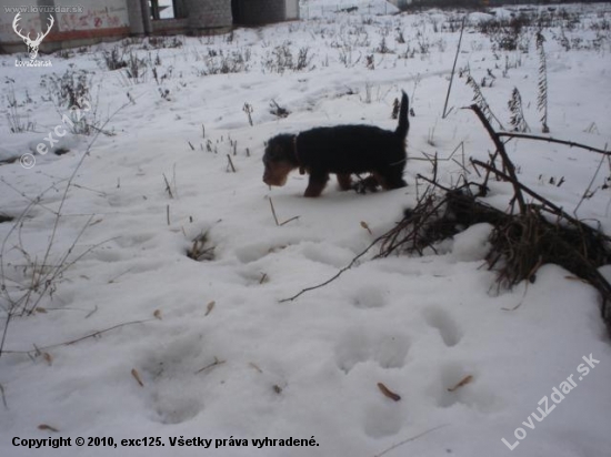 veľa snehu