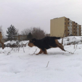uz len kusok a chytim ta