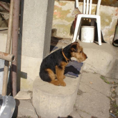 tifun 4 mesiace