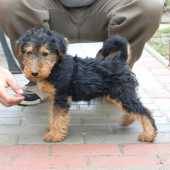 tak a mame dalsieho zabijaka doma