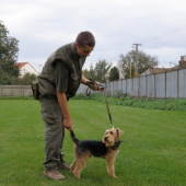 pes  ktory ma vsetko naucil