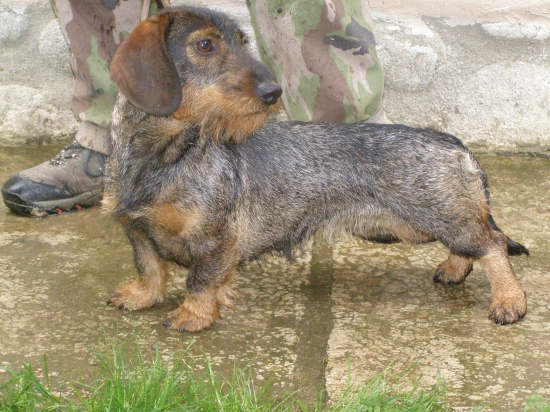 Chovateľská stanica rodbach