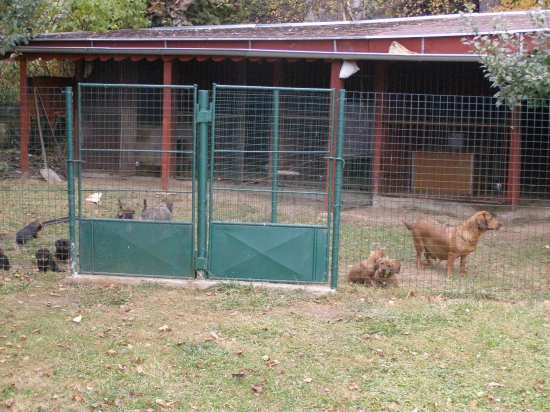 Chovateľská stanica rodbach