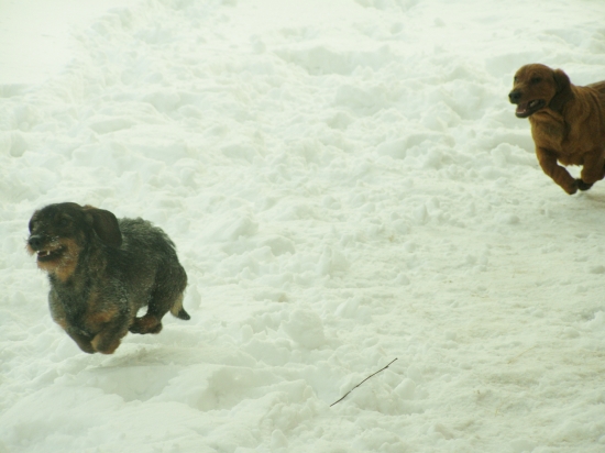 Chovateľská stanica rodbach