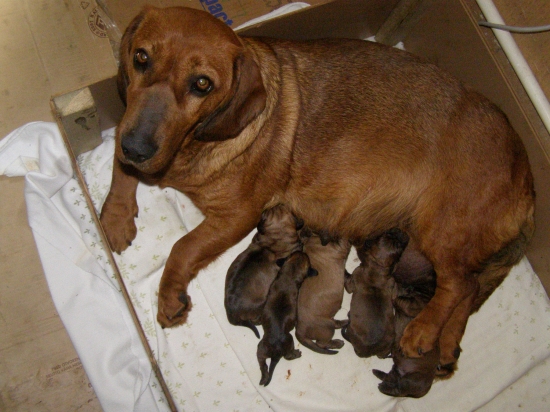 Ahoj Svet-konečne sme TU